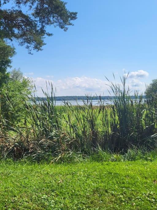 L'Oree Des Lacs, Maison De Village Tout Confort Radonvilliers Exteriér fotografie